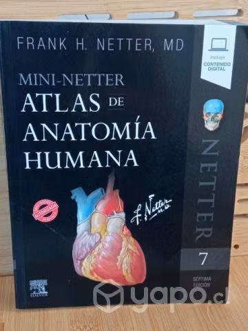 Netter atlas de Anatomía Humana