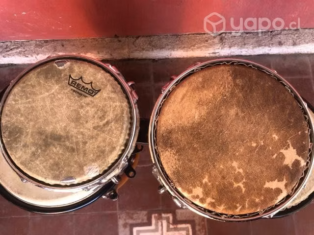 Bongo LP Matador