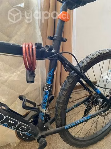 Bicicleta oxford