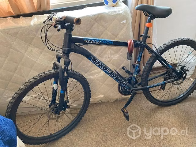 Bicicleta oxford - Imagen 2