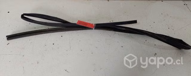 Goma Vidrio Puerta Delantera Der MG ZS 2020