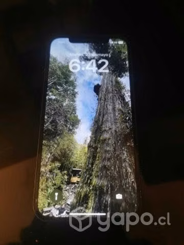 IPhone 12 - Imagen 2