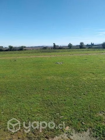 Terreno plano