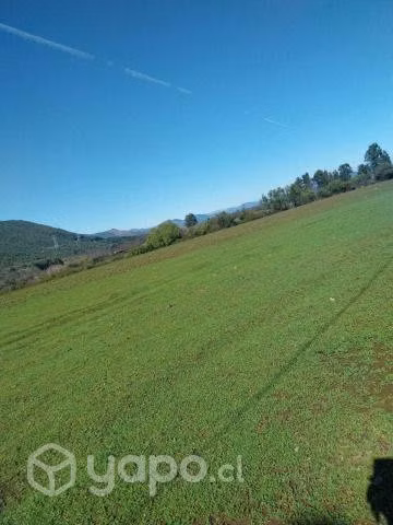 Terreno plano