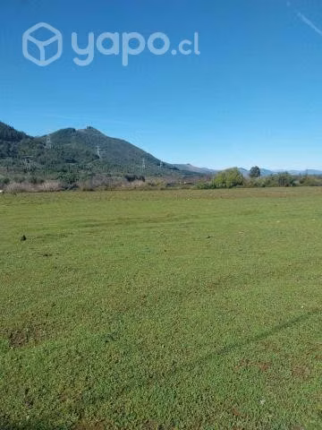 Terreno plano