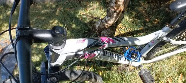 Aro 29 talla M specialized CONVERSABLE - Imagen 2