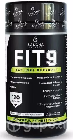 Fit 9 Sascha Fitness
