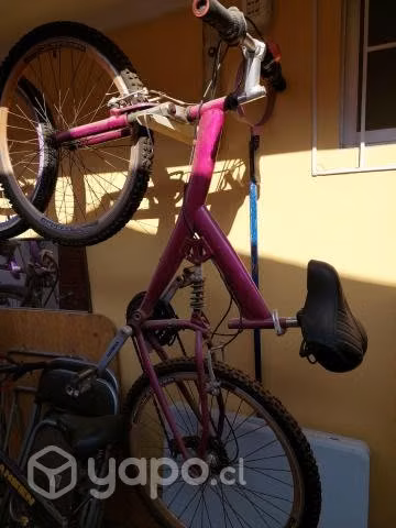 Bicicleta mujer aro 26