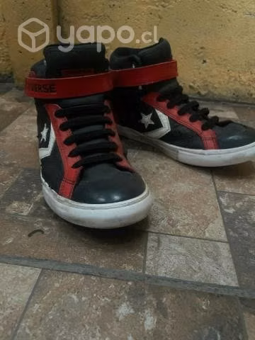 Zapatilla