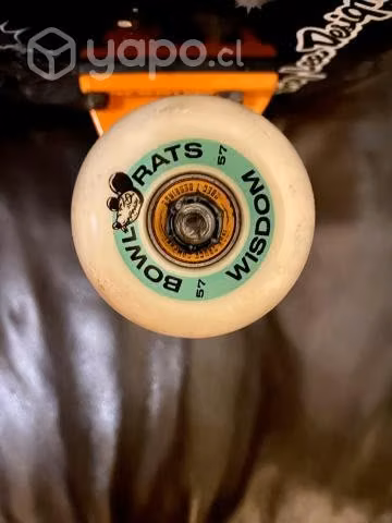 Skate Santa Cruz VX