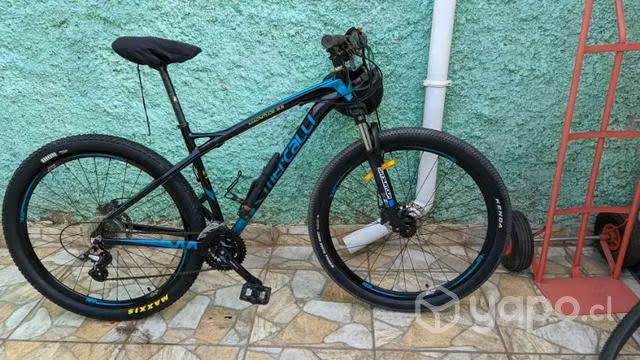 Mercalli Magnitude 8.5 Aro 29