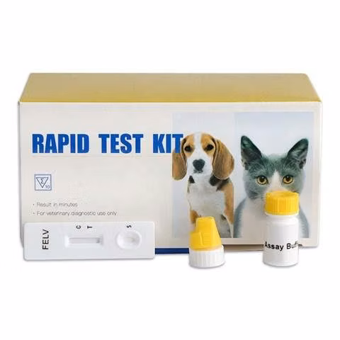 Test Rápido Veterinario Leucemia Felina FeLV Ag