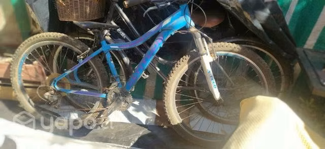 Bicicleta altitud mujer
