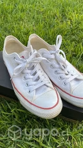 Converse all star - Imagen 6