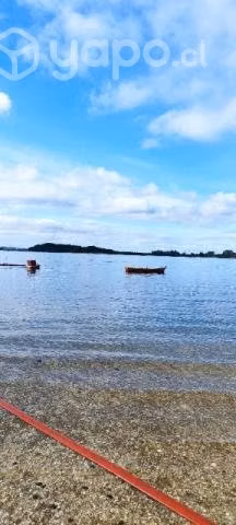 salmón