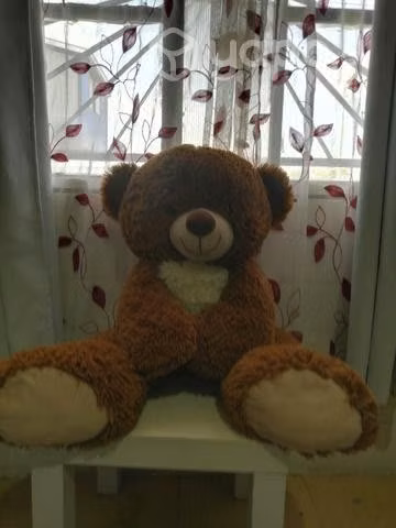 Oso de peluche