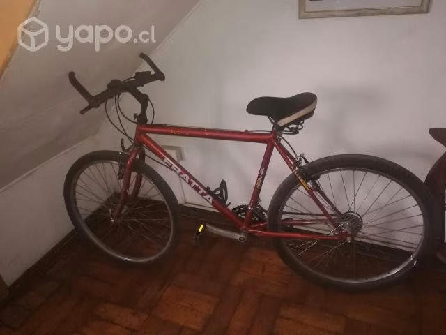 Bicicleta pustera