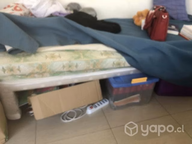 Cama de 1 plaza