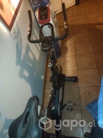 Bicicleta Spinning Ultimate Fitness Z 310 Pro