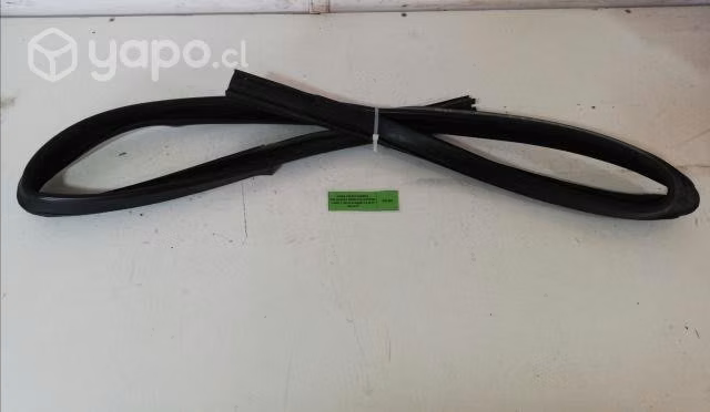 Goma Vidrio Puerta Del der (FFP026) F150 PL 2020