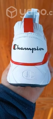 Champions originales 43.5