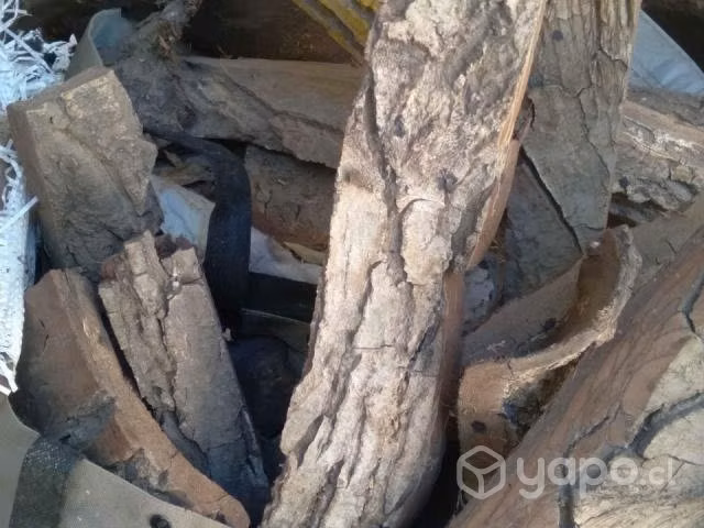 Vendo montones CORTEZA NOGAL 25 mil cada uno - Imagen 4