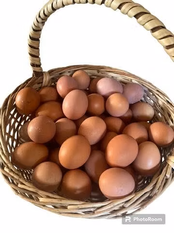 Bandeja de 30 huevos de color gallina feliz