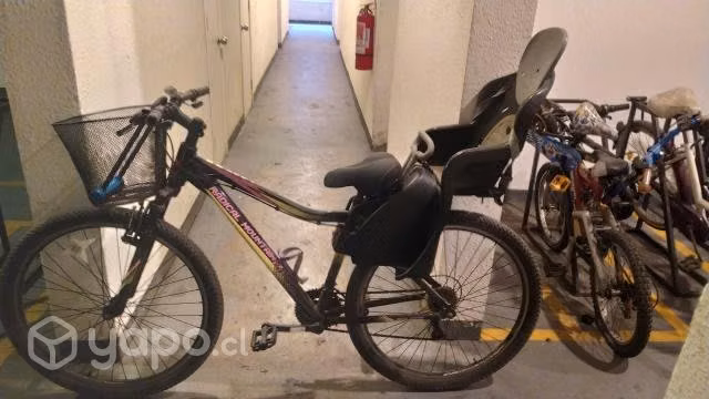 Bicicletas