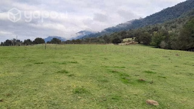 Terreno con vista al mar y bosque Cochamó - Imagen 6