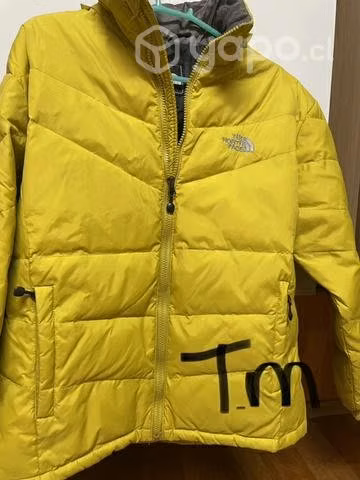 Chaqueta tnf