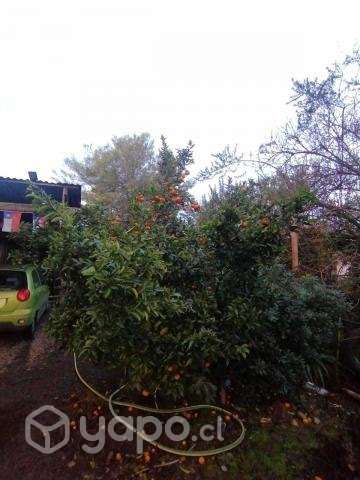 Casa con terreno grande - Imagen 7