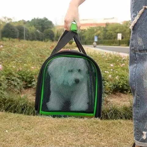 Bolso Transporte Mascotas Verde 34x24x23 CM