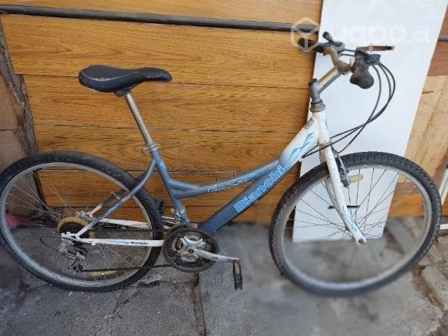 Bicicletas aro 26 Bianchi y Lahsen