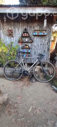 Gravel talla M