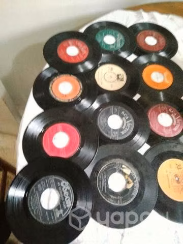 12 vinilos
