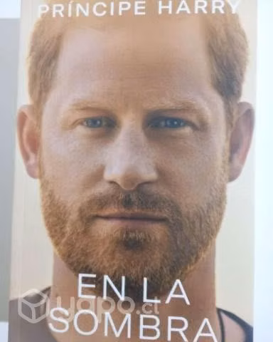 Libro Original En La Sombra