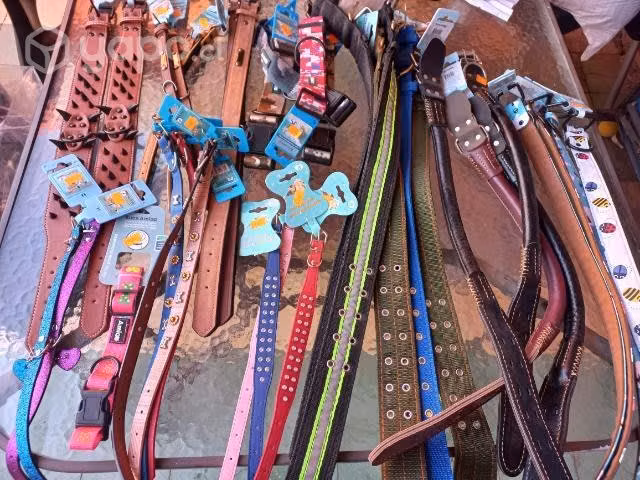 Artículos de mascotas por cierre de local