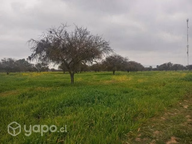 Parcela 6ta region