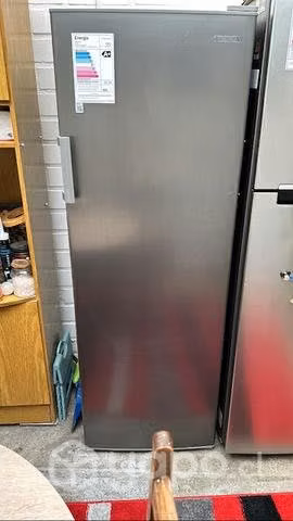 Freezer vertical