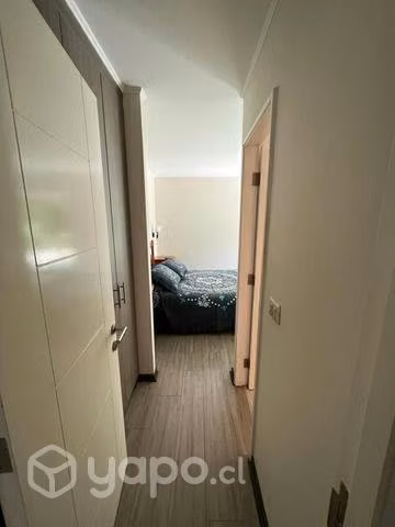 Arriendo amplio departamento Mensual en Pucón