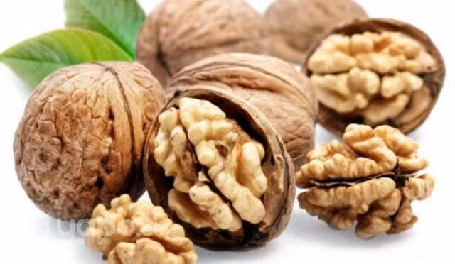 Nueces - Imagen 2
