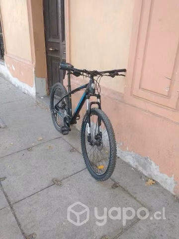 Bianchi peregrine aro 29 negra