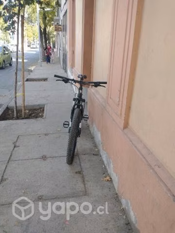 Bianchi peregrine aro 29 negra
