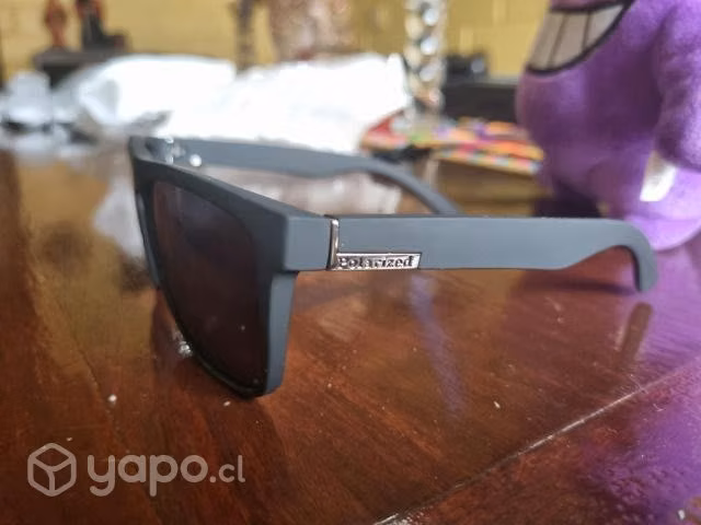 Gafas polarizadas