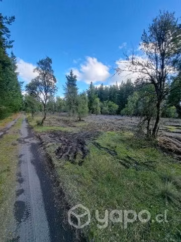 Parcela de 5000 m2 a 10 minutos de los ángeles