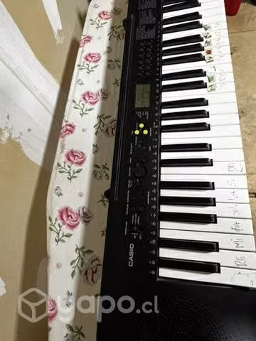 Teclado casio