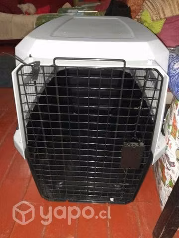 Canil para perrito mediano