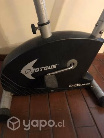 Bicicleta PROTEUS PEC-1900