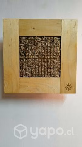 Cuadros Vivos de Suculentas - Imagen 6