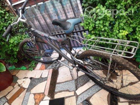 Bicicleta Bianchi - Imagen 3